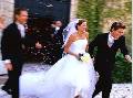 Gala Ionian Events